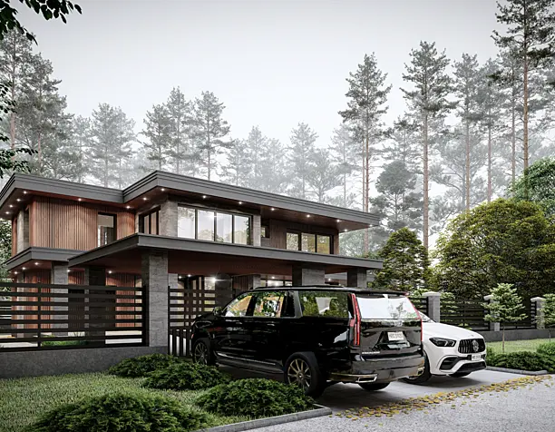Modern house in a pine forest