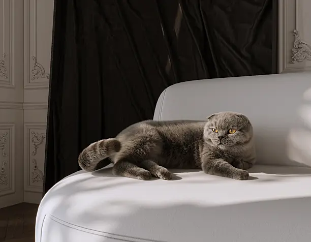 Гостиная для котика