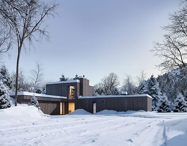 Icy forest (Winter Exterior)