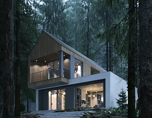 Forest House | Concept Project