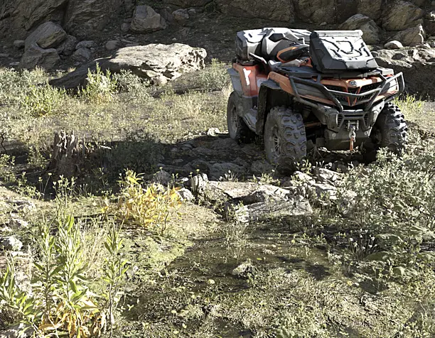 ATV landscape