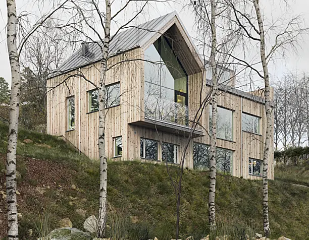 Villa Bondö / Kjellgren Kaminsky Architecture (сделано по референсу)