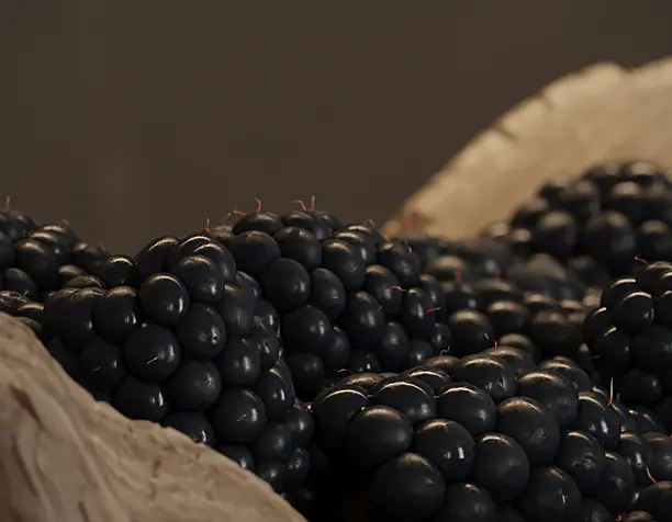 blackberry