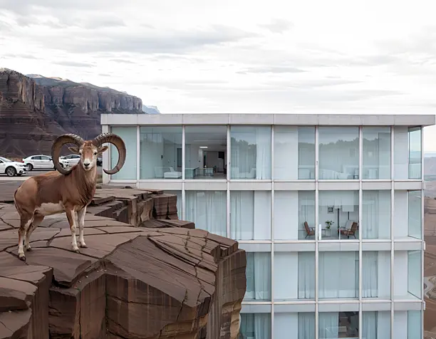 AI Case 56. «Canyon jump»