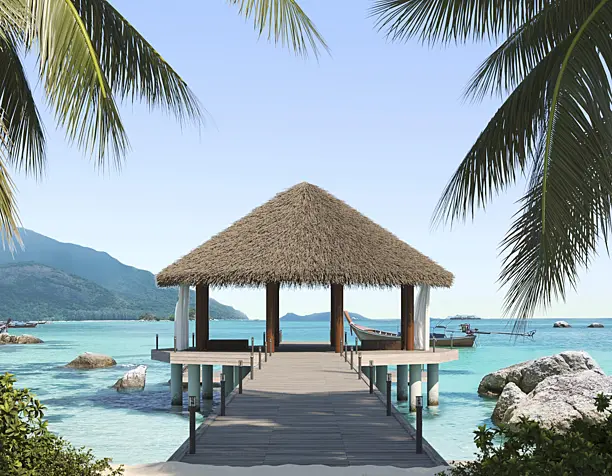 PARADISE