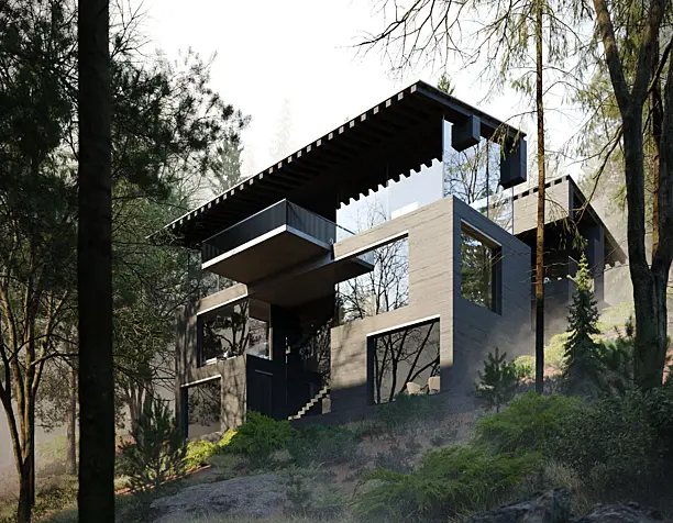 ARCHITECT'S HOUSE