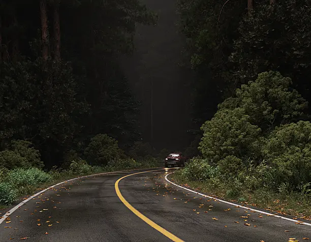 Forest, road