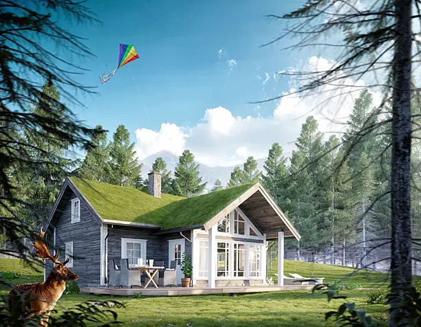 Cabin in Forest