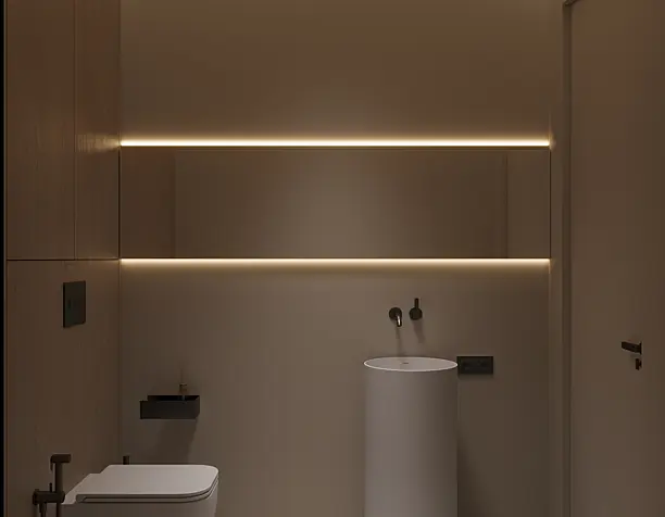 Guest toilet