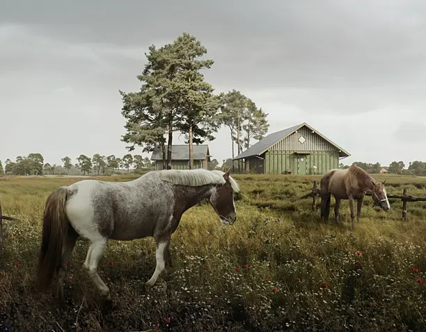 Переславль-Залесский