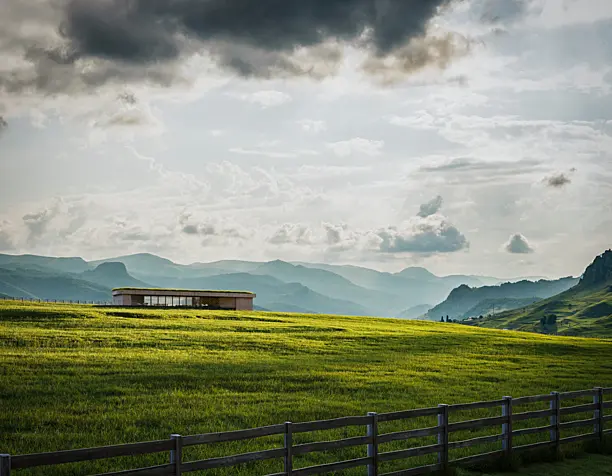 The Concrete House