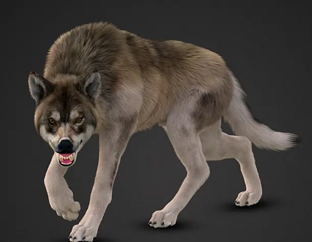 The Alpha