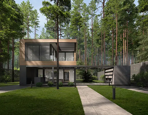 House in a pine forest