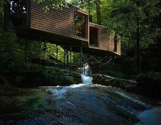 The Forest Cabin