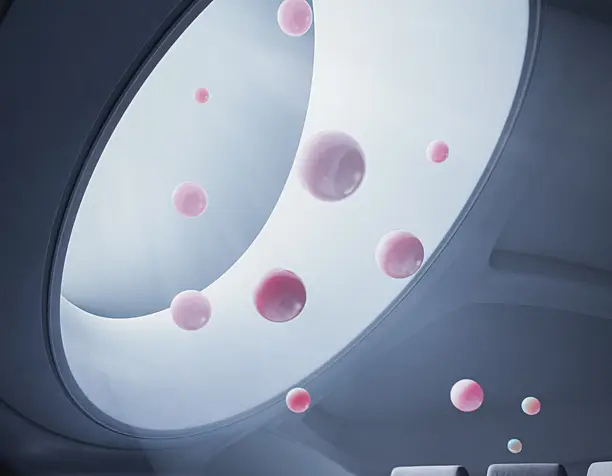 Futuristic / 3ddd × Boca room