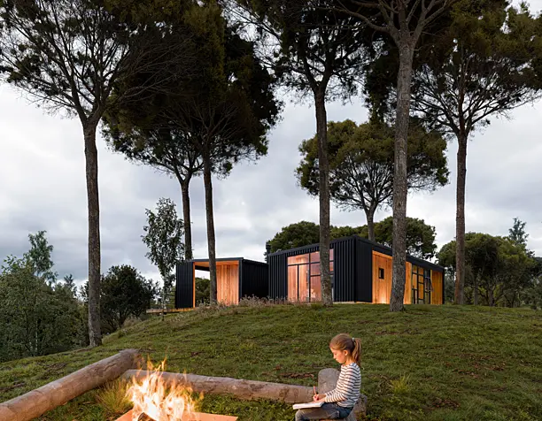 Araucarias house alexandra(сделано по референсу)