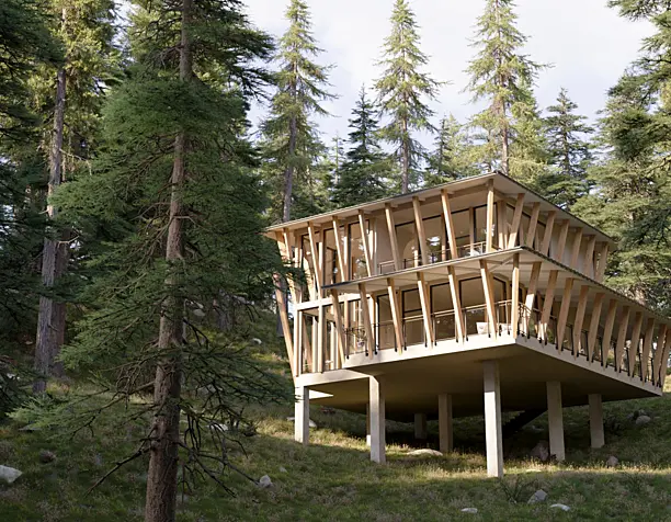 Студенческий проект