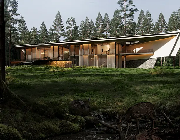 Forest house