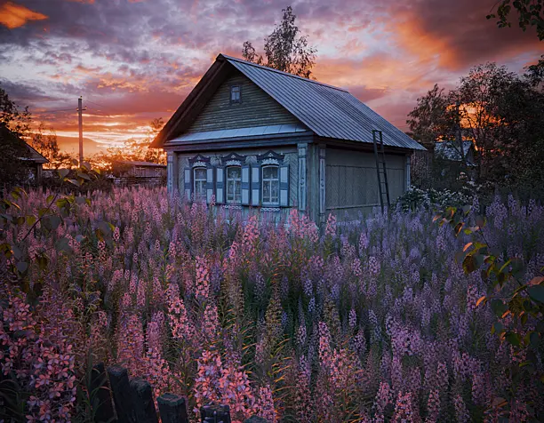 Summer (сделано по референсу)