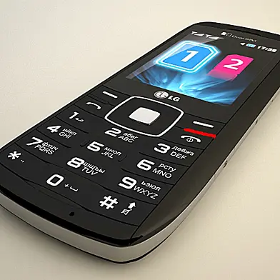 Phone LG GX300
