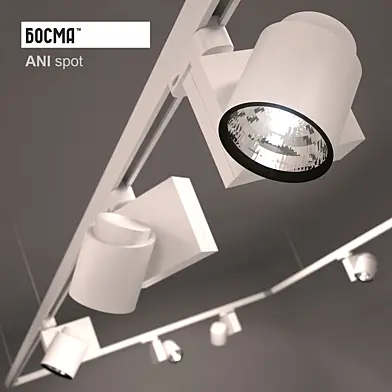 Ani spot