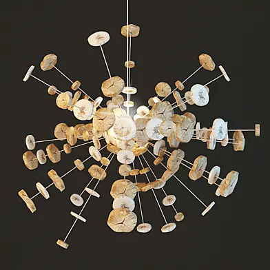 LUSTRE ANURI