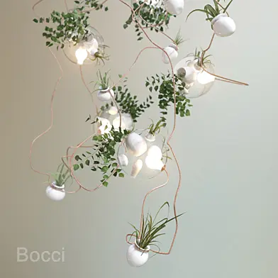 Bocci
