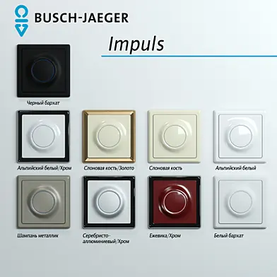 Busch-jaeger impuls