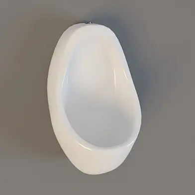 Male toilet urinal