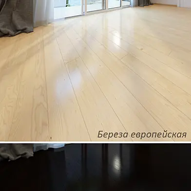 Акация и Береза европейская