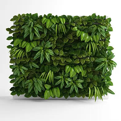 Green wall