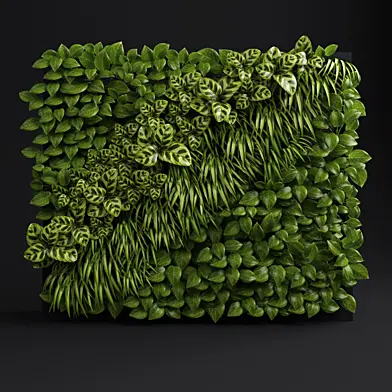 Green wall 2