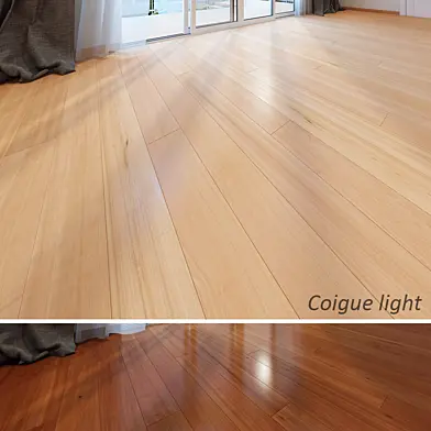 coigue_coigue_light