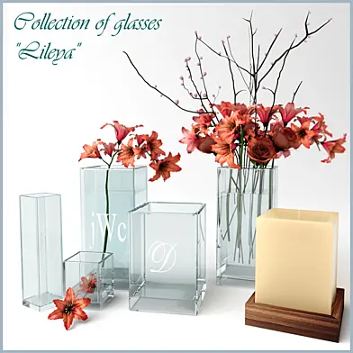 Collection of glasses Lileya