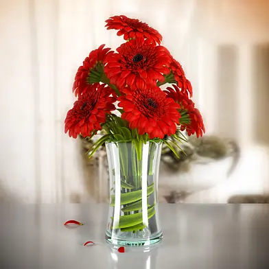 GERBERA 03