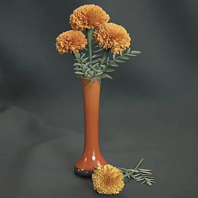 Marigolds