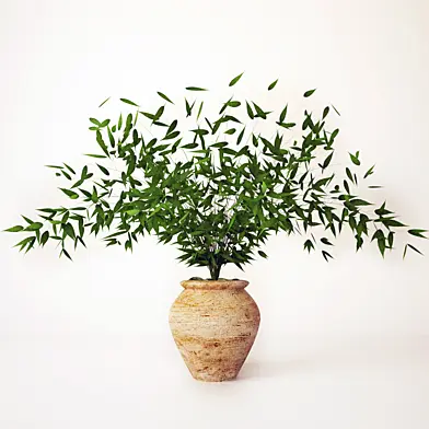 Green leaves