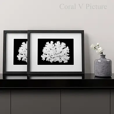 Coral V Picture