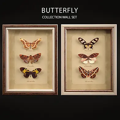 Butterfly Collection Set
