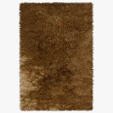 Carpet Brown