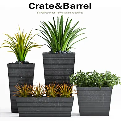 PLANT -22