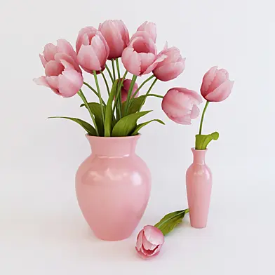 Pink tulips