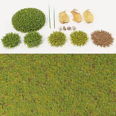 moss_collection