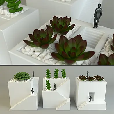 Decorative  qube vases With Cactus plant