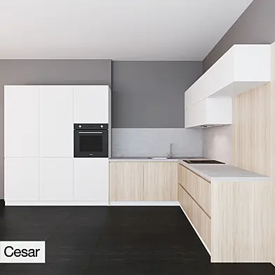 Cesar Maxima 2.2 zahvat hook