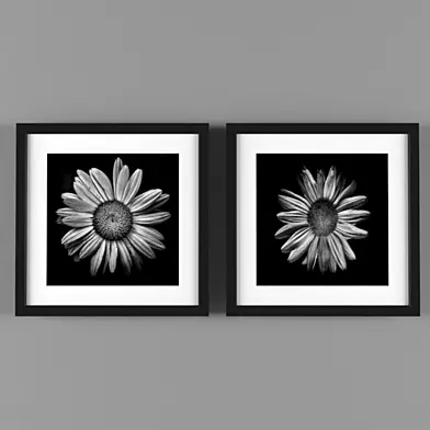 Frame paint flower