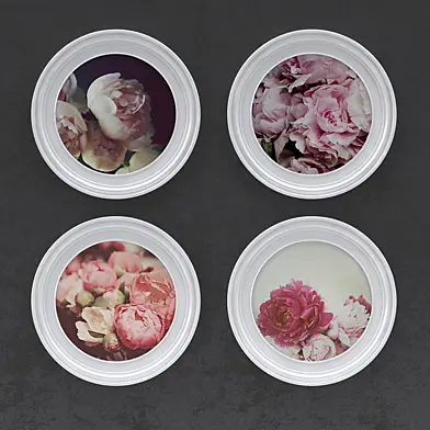 peonies picture
