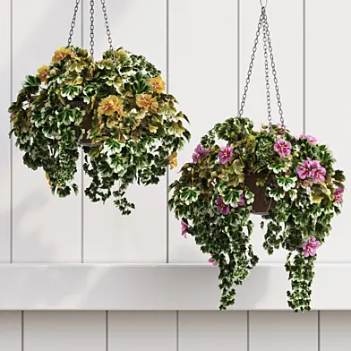 Ornamental Flowerpot