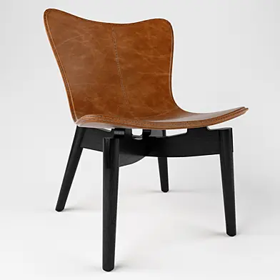 Shell dining chair