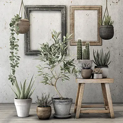 Decorative plant set